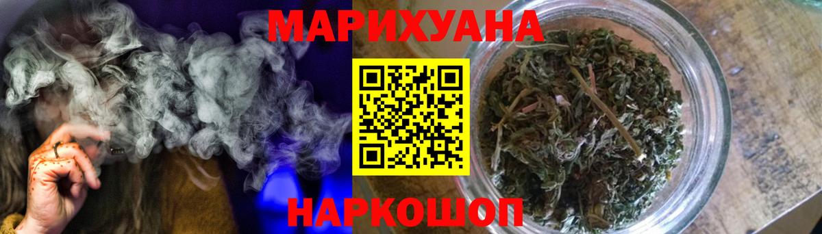 Каннабис сатива Щёкино
